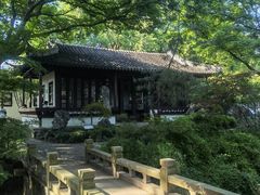 -上海醉白池公园