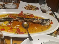 -丹江渔村(望京店)