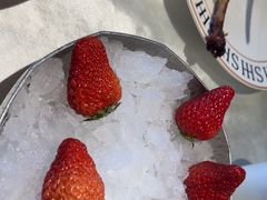 -珊海荟海鲜楼·天津菜·海肠捞饭·皮皮虾锅贴王(佛罗伦萨店)