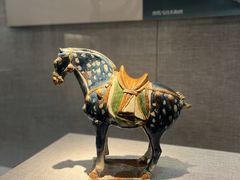-河南博物院