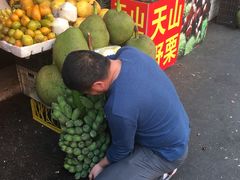 -西双版纳傣族园