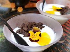 自制酸奶-丽江庭院之爱在路上(西单店)