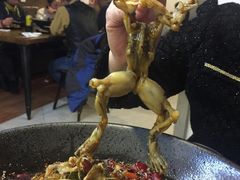 -靓蛙馆