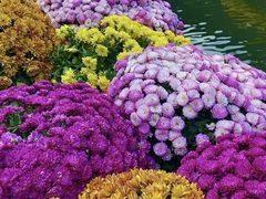 -杭州植物园