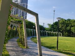 -大望京公园