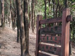 -火炉山森林公园