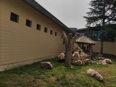 -石家庄市动物园