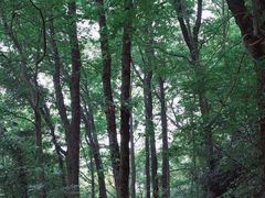 -杭州灵山景区