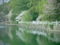 -石峰公园