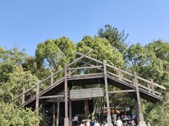 -天目湖山水园