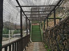 -磐安舞龙峡景区