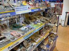 -Animate(工人体育场东路店)