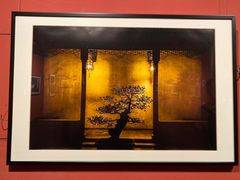 -江苏省美术馆(长江路新馆)