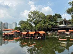 -侨美·唐荔园·40年地道粤菜