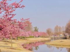 -上海辰山植物园