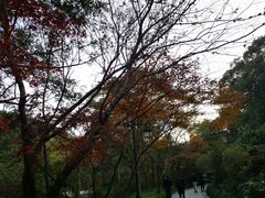 -民国红公馆·秦淮八艳(夫子庙店)