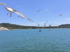 -海驴岛(荣成市)