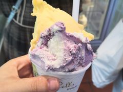 -柠檬车露(卖草地店)