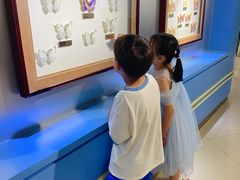 -上海昆虫博物馆