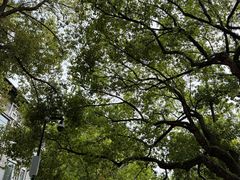 -杭州西湖风景名胜区-满觉陇四眼井