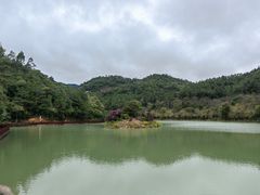 -广州白江湖森林公园