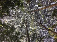 -中国天府农业博览园