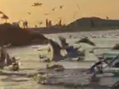 -老虎石海上公园