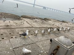 -星海广场