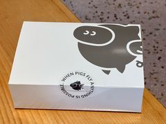 -WHEN PIGS FLY当猪飞
