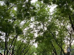 -申德勒加油站西餐厅(日坛路总店)