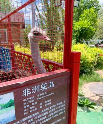 -萌宠亲子动物乐园(槐房万达店)