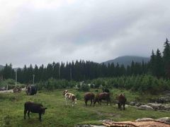 -冶力关旅游区