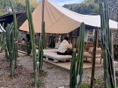 -MOJ coffee(瓯海泽雅水碓坑店)