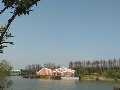 -上海长兴岛郊野公园