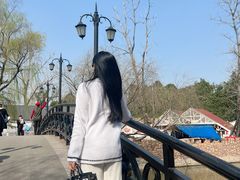 -J Create城市露营咖啡·简餐·宠物(上海动物园店)