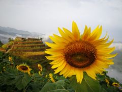 -石潭村