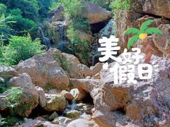-南海湾森林生态园