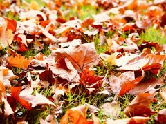 -河南省黄河迎宾馆