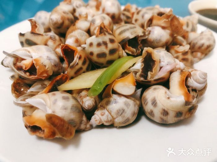 闽南食屋(中山北路)花螺图片