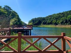 -广州市石门国家森林公园