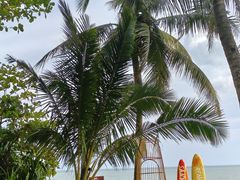 -三亚海棠湾万丽度假酒店