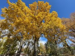 -西宁市人民公园(城西区)