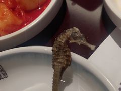 -瑞膳首尔参鸡汤(龙塔店)