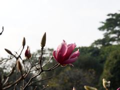 -华南国家植物园-售票处