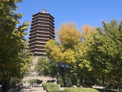 -玲珑塔公园