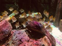 -沈阳海洋探索中心