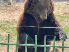 -秦皇岛野生动物园