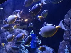 -成都浩海立方海洋公园