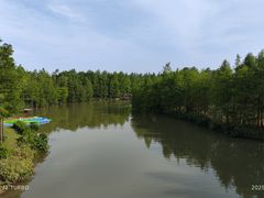 -上海长兴岛郊野公园