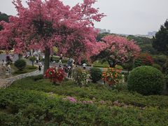 -东莞植物园